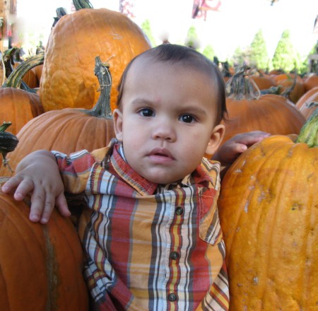 Boy in the Pumpkins