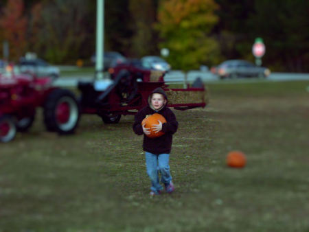 picking_a_pumpkin