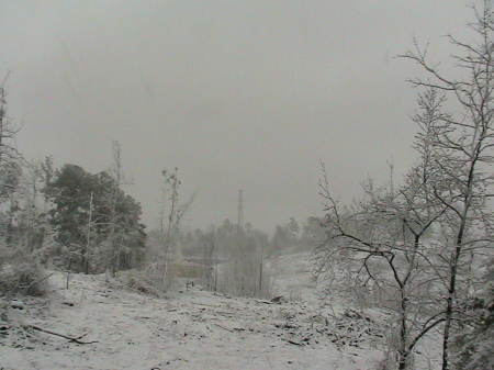 Snow in southern MS III.