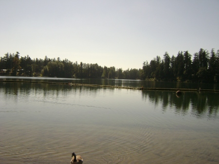 The Lake at Ft. Lewis WA