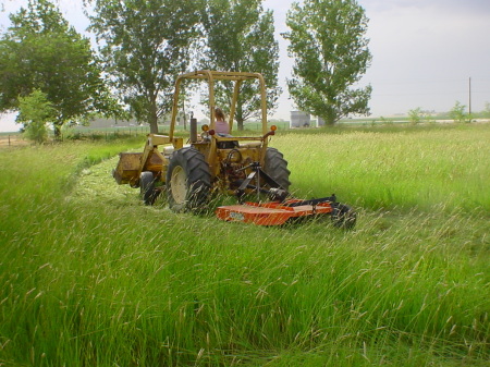 Mowing our front pasture...