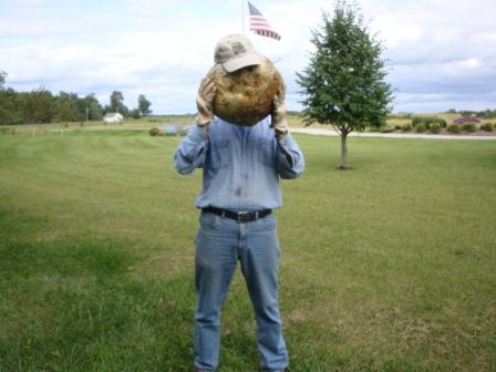 Giant puffball that's bigger than my head!