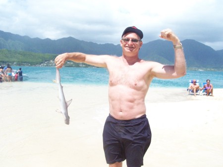 Max subdues Hammerhead Shark in Hawaii