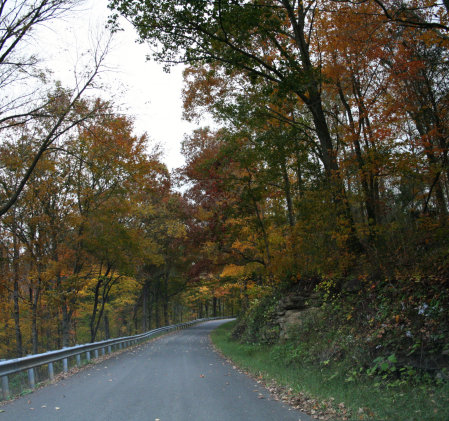 Tenn in the FALL