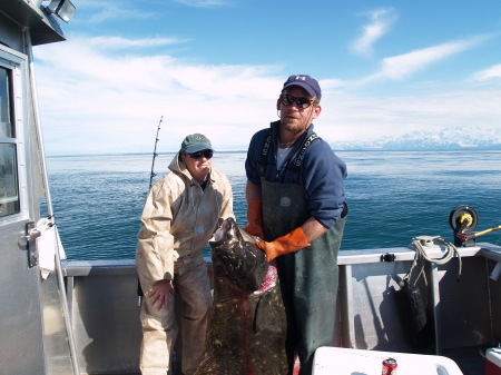 ALASKA HALIBUT