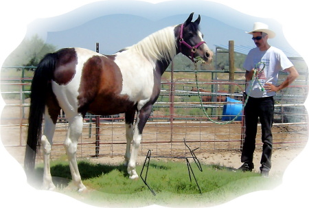 My Hubby Mark and Eagle, his Horse