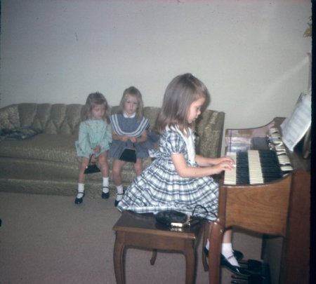 Playing the Organ