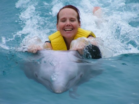 Dolphins in Cozumel August 2008