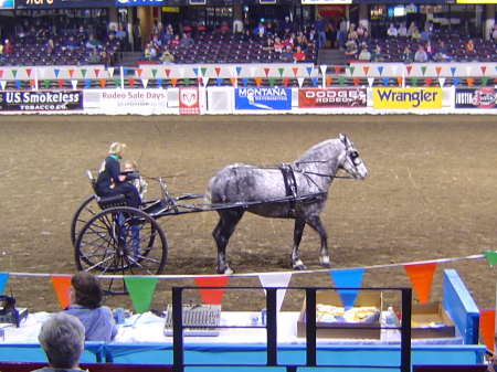 bailey and robyn winning the pleasure driving class at louisville