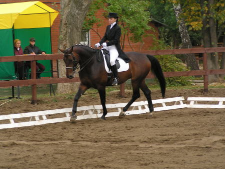 Lidia enjoys Dressage