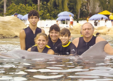 Swimming with Dolphins