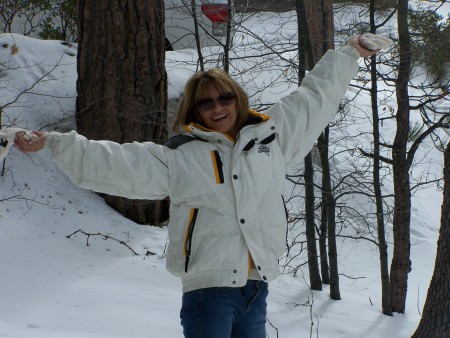 Big bear 2007