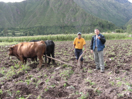 Chacras Agriculture