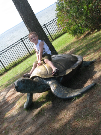 Landon loves turtles.