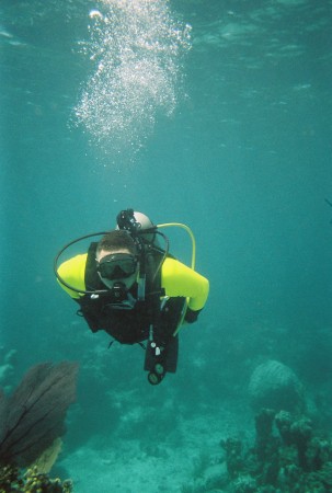 Diving in the Bahamas