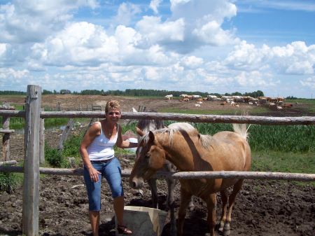 Down on the Farm