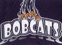 bobcats