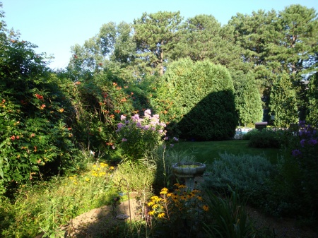 Garden 2008
