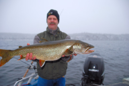 Lake trout October 2008