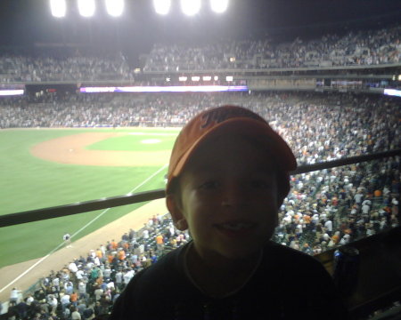 A veiw from the suite - Comerica Park