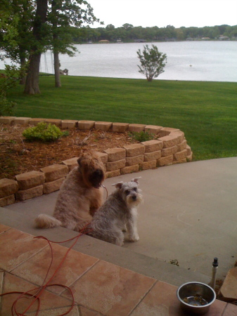 enjoying the lake