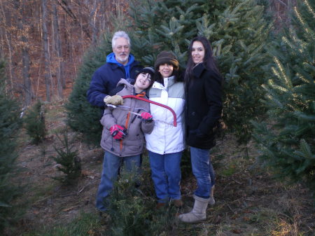 tree shopping