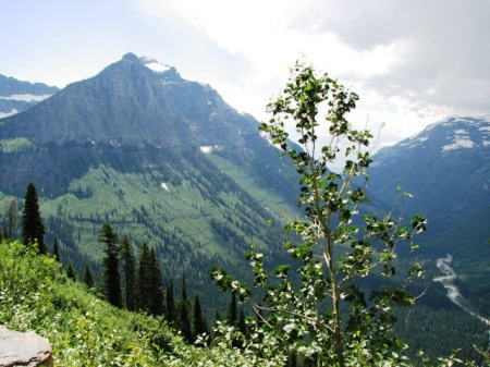 at 7,000 feet, Going to the Sun Road