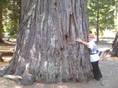 A true tree hugger!!