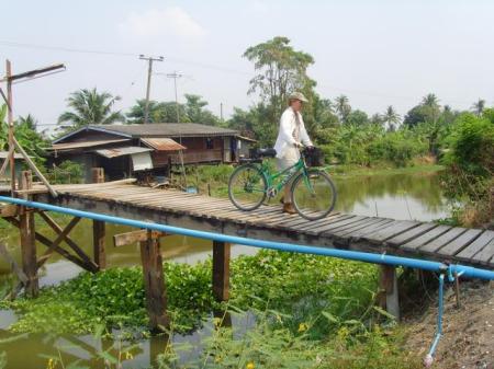 Thailand Rocks!