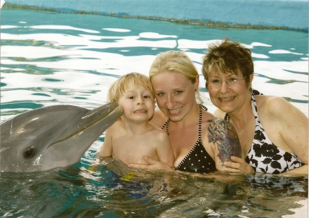 swimming with the dolphins Bahamas