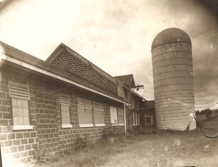 Cow Barn