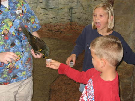 allie and jack feeding birds 08