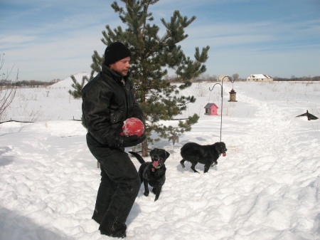 Our dogs love the snow