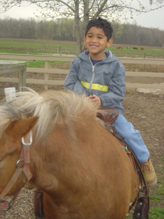 Horse Riding