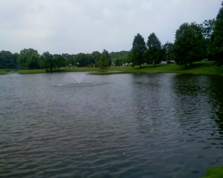 The pond at our condos.