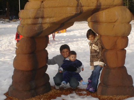 Our three kiddies in 2007
