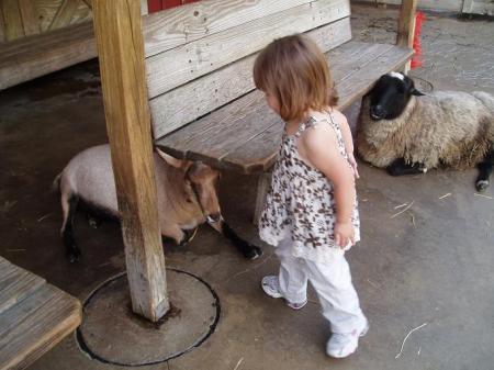 Saying Hi to the Goats!