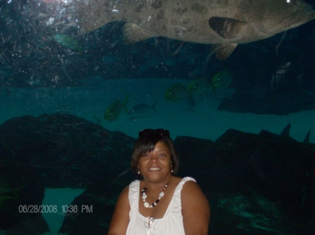 Georgia Aquarium08