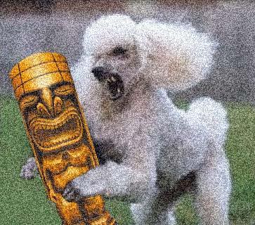 killerpoodlewithtiki