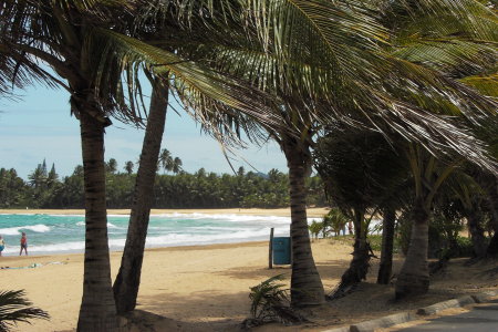 Beach View