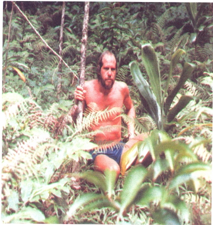 Hiking the Jungles of Borneo with the Dayak.
