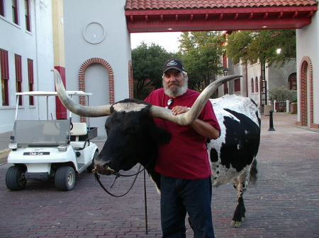 Taking the bull by the horns