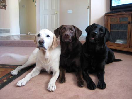 our3labs1