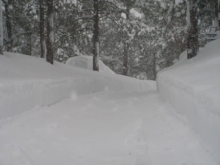 Snow, Snow and more Snow