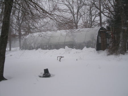 greenhouse feb 11 2011