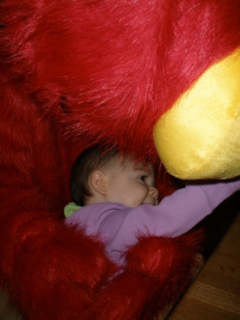 Paige loves Elmo