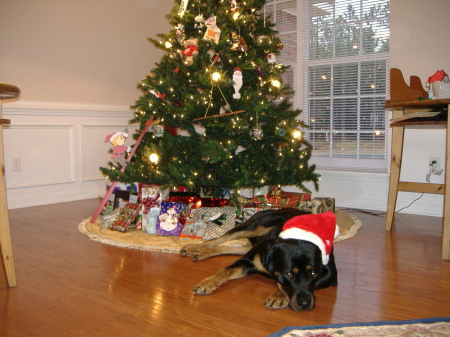 Ike waiting for Santa!