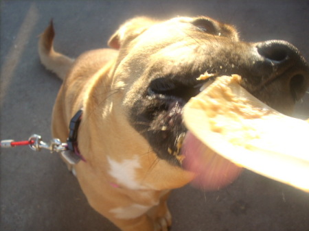 happy eating peanut butter