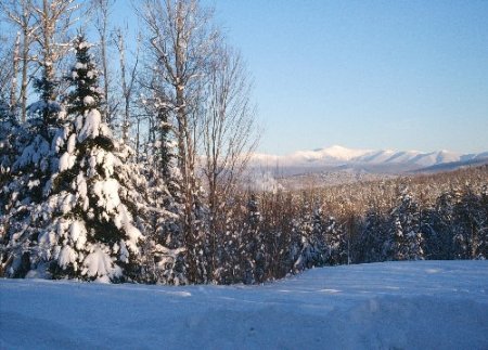 Mt. Washington