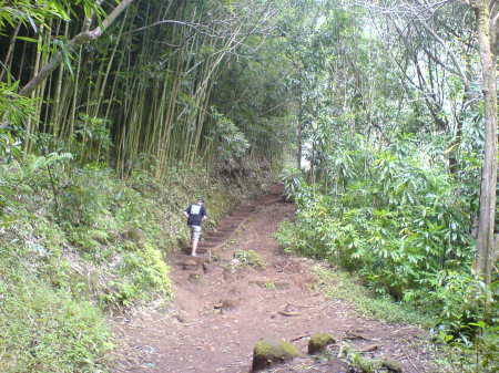 Hiking up to a waterfall